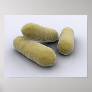 Poster Image Conceptuelle Des Bactéries 2