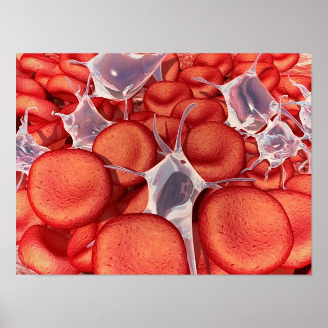 Poster Image Conceptuelle Des Cellules De Sang Rouge 2 (Devant)