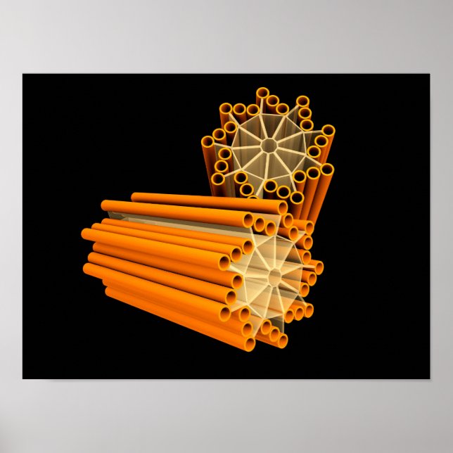 Poster Image Conceptuelle Des Centrioles 1 (Devant)
