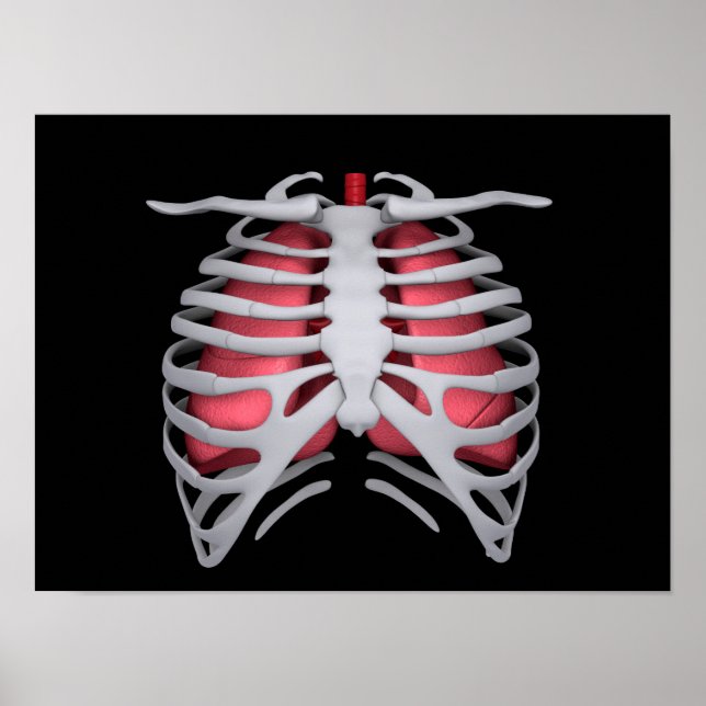 Poster Image Conceptuelle Des Poumons Humains Et De La Ca (Devant)