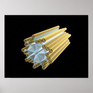 Poster Image Conceptuelle Du Centriole