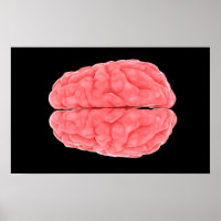 Image Conceptuelle Du Cerveau Humain 10