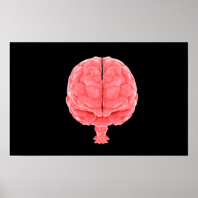 Poster Image Conceptuelle Du Cerveau Humain 3 (Devant)