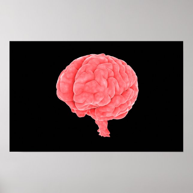 Poster Image Conceptuelle Du Cerveau Humain 5 (Devant)