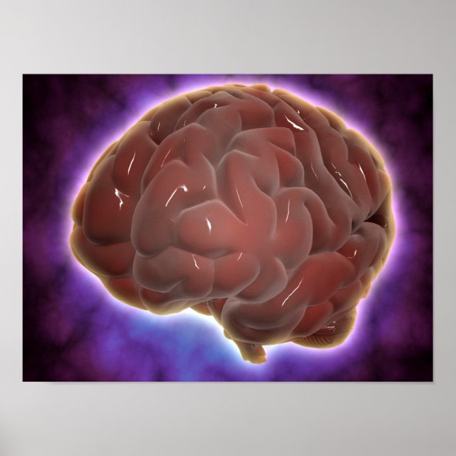 Poster Image Conceptuelle Du Cerveau Humain 6 (Devant)
