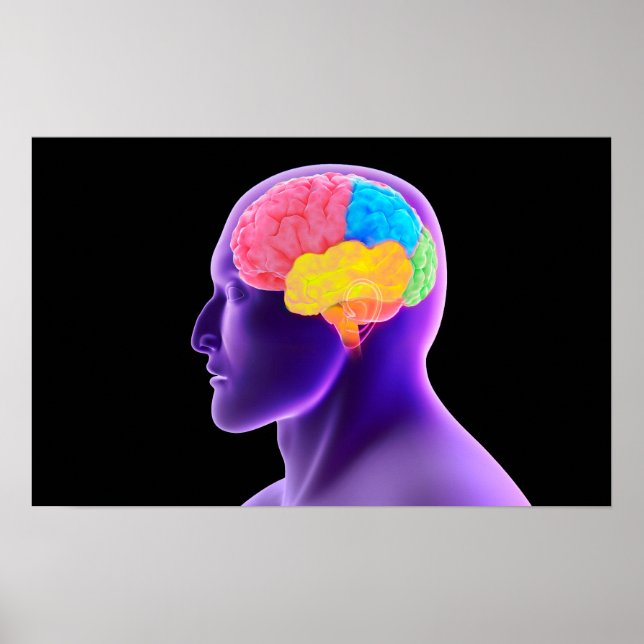 Poster Image Conceptuelle Du Cerveau Humain 7 (Devant)