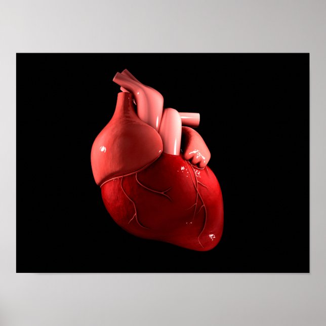 Poster Image Conceptuelle Du Coeur Humain 2 (Devant)