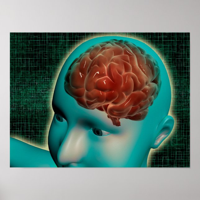 Poster Image Conceptuelle Du Corps Féminin Avec Cerveau 1 (Devant)