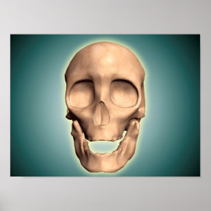 Poster Image Conceptuelle Du Crâne Humain, Vue Avant