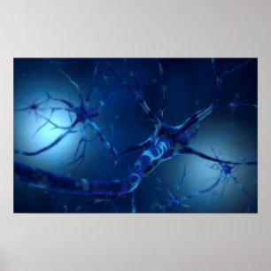 Poster Image Conceptuelle Du Neuron 2