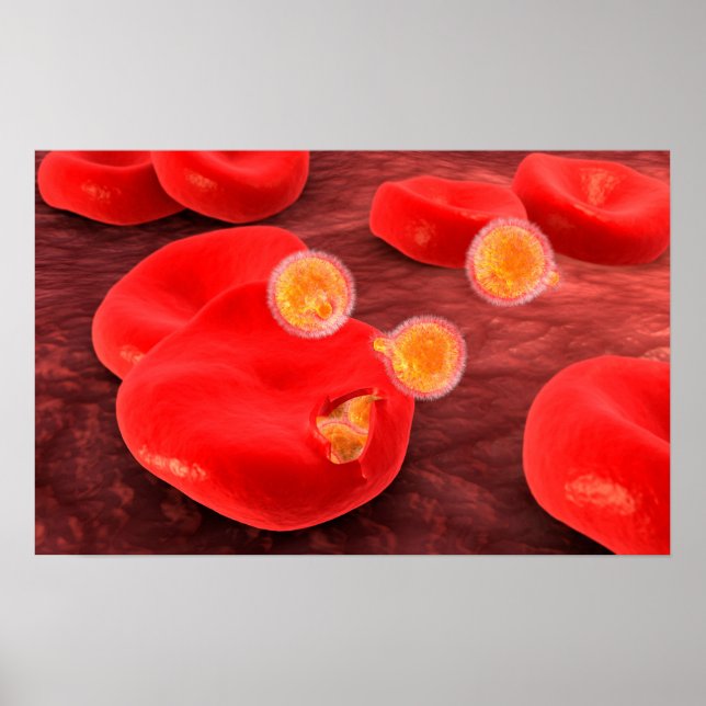 Poster Image Conceptuelle Du Paramecium 2 (Devant)