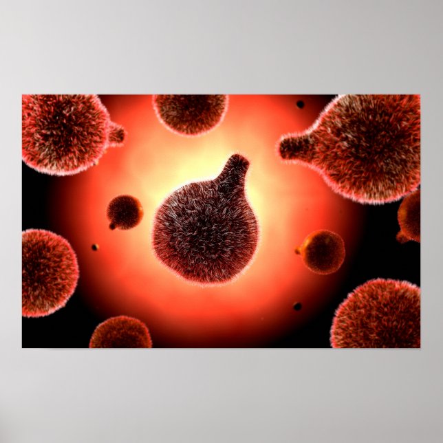Poster Image Conceptuelle Du Plasmodium À L'Origine Du Pa (Devant)