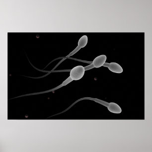 Poster Image Conceptuelle Du Sperme Masculin