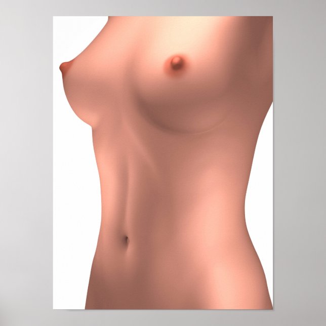 Poster Image Conceptuelle Du Torse Féminin (Devant)