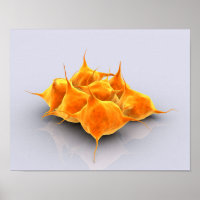 Image Conceptuelle D'Un Groupe De Platelets