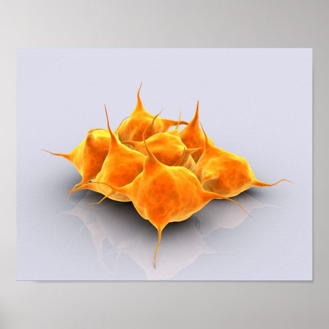 Poster Image Conceptuelle D'Un Groupe De Platelets (Devant)