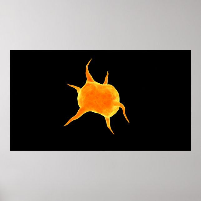 Poster Image Conceptuelle D'Un Plateau (Devant)