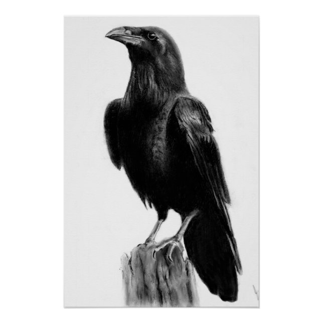 Poster Image de corbeau   (Devant)
