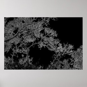 Poster Image de J.W. Fatherree dans Dark Art Crows in a T