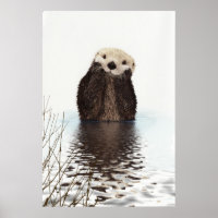Image de la faune de Cute Otter