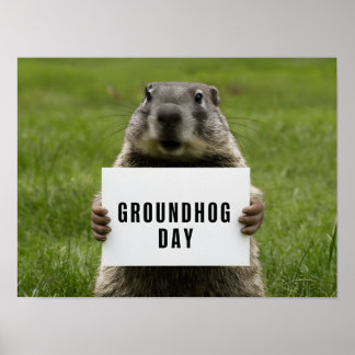 Poster Image de la journée de la marmotte