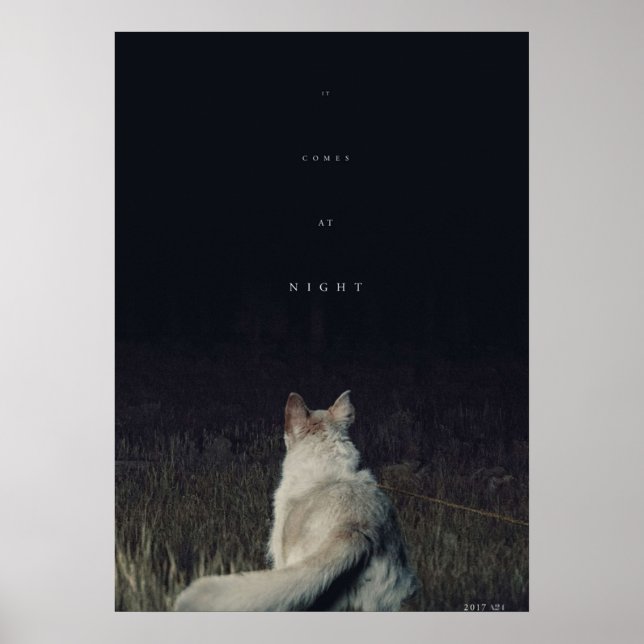 Poster Image de Night Movie (Devant)
