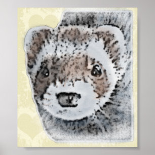 Poster Image du Ferret de l'able