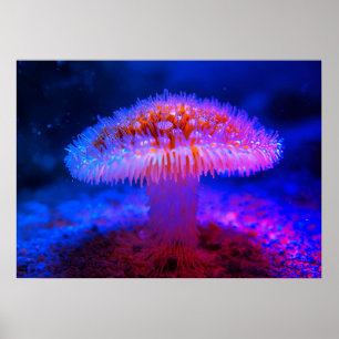 Poster Image d'un champignon rouge sur le mur du fond de 