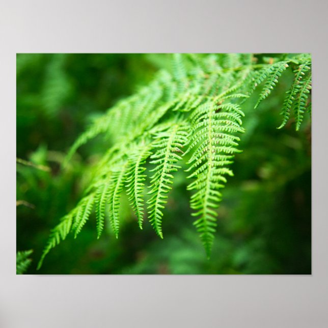 Poster Image Fermer (Devant)