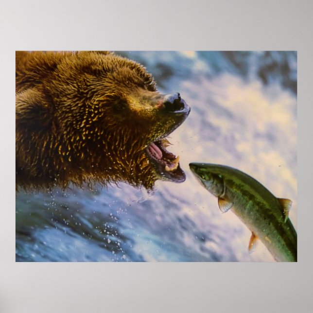 Poster Image saumon de l'ours grizzli Extraordinaire (Devant)
