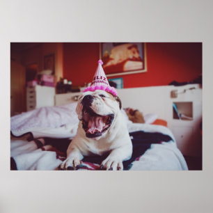 Poster Images Getty   British Bulldog