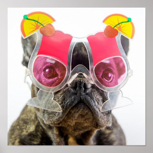 Poster Images Getty | Chien Avec Lunettes De Cocktail (Devant)