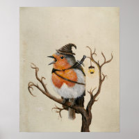 Imaginaire aventure robin