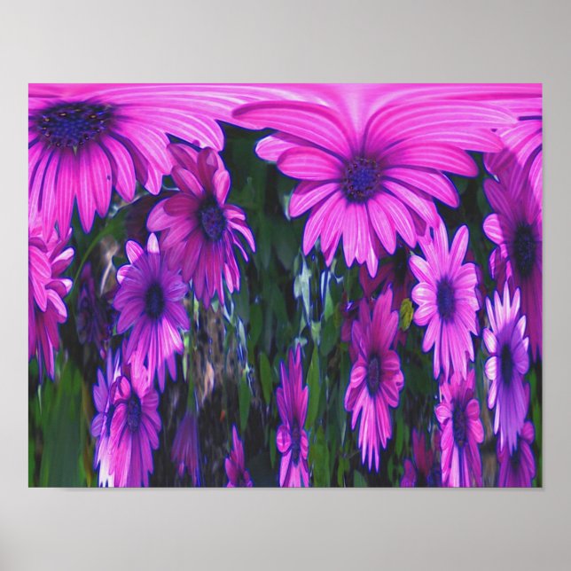 Poster Imaginaire Fleur de marguerite violet Art Abstrait (Devant)