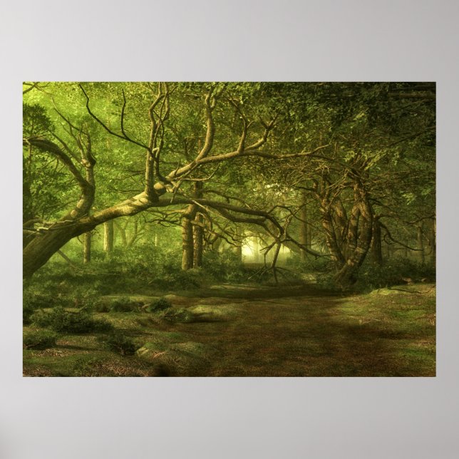 Poster Imaginaire forestier (Devant)