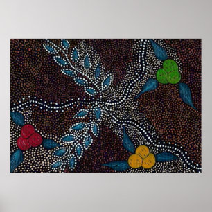 Poster Imaginaire indigène