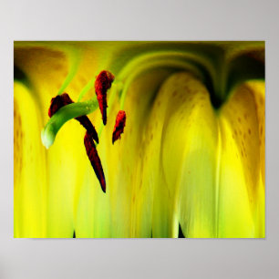 Poster Imaginaire Lily Floral Abstrait