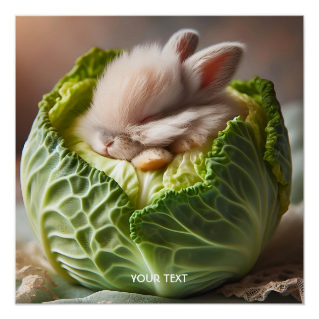 Poster Imaginaire mignonne lapin lapin chou (Devant)