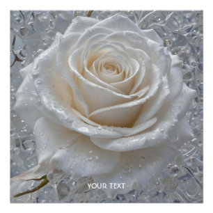 Poster Imaginaire Rose blanche mignonne gouttes