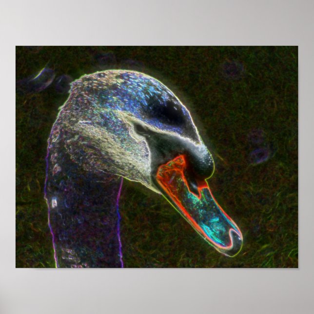 Poster Imaginaire Swan Animal Art (Devant)