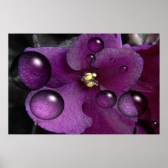 Poster Imaginaire violet africain (Devant)