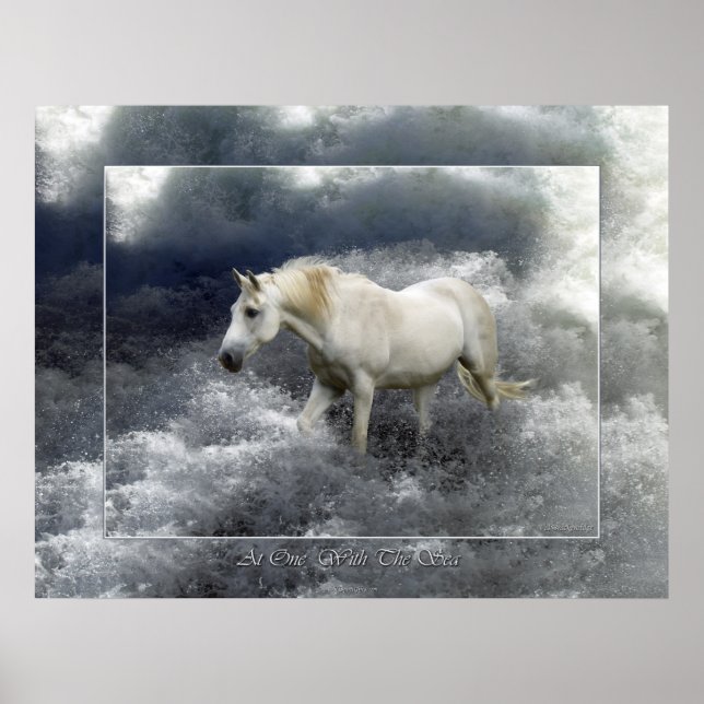 Poster Imaginaire White Horse & Ocean Surf (Devant)