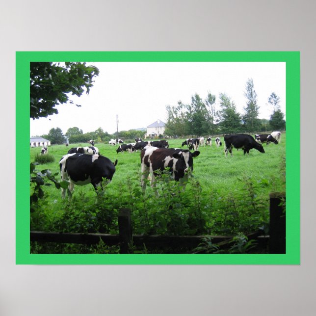 POSTER IMG_0722 (Devant)