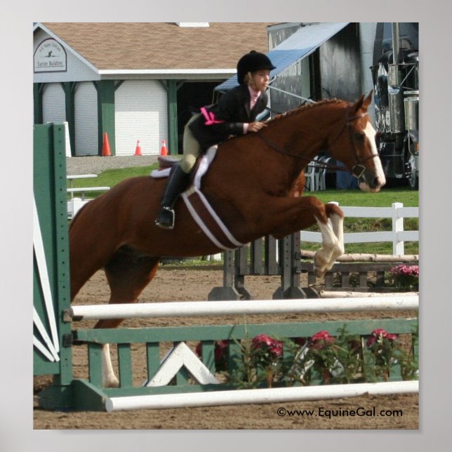 Poster Img_3643 (Devant)