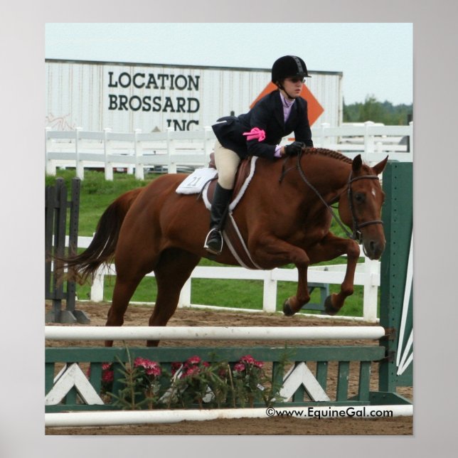 Poster Img_3748 (Devant)