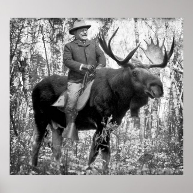 Poster Immense Teddy Roosevelt À La Tête D'Une Oie À Taur (Devant)