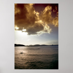 Poster Immersion d'inversion