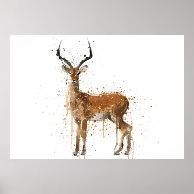 Poster Impala (Devant)