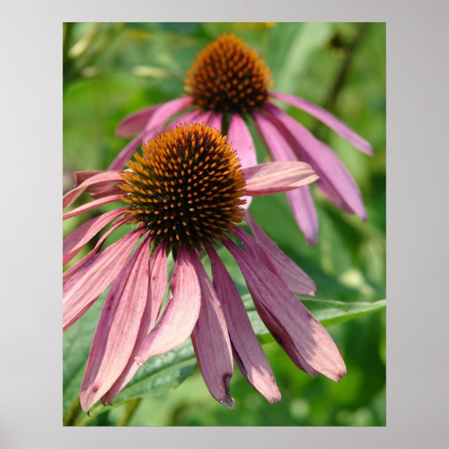 Poster Imperfection (Devant)