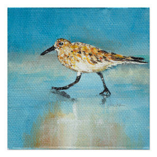 Poster Impression de peinture Sandpiper